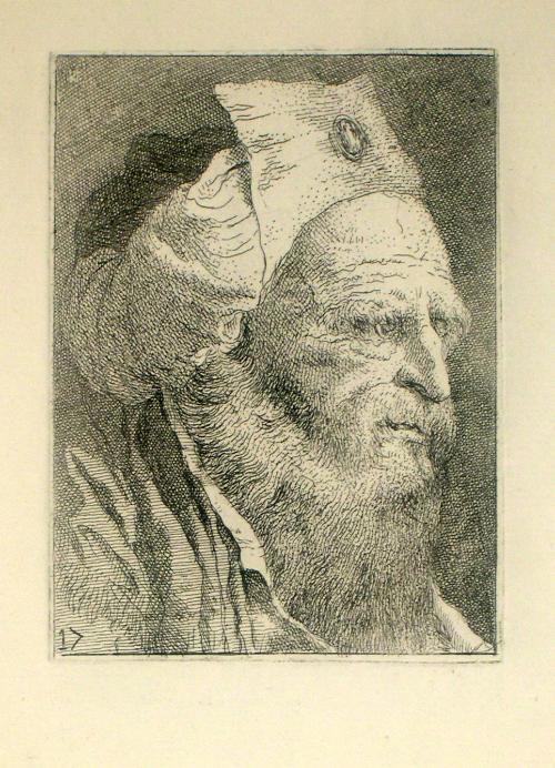 Three-quarter view of an old man with a beard from "Raccolta di Teste"