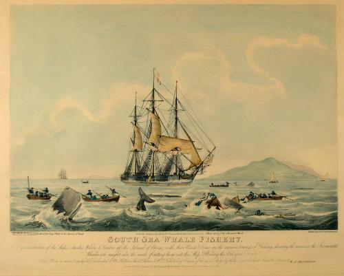 South Sea Whale Fishery