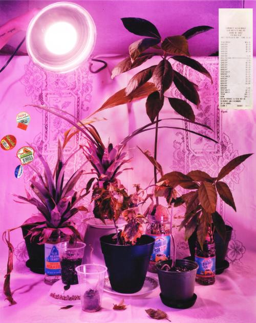 Transplant Family Portrait