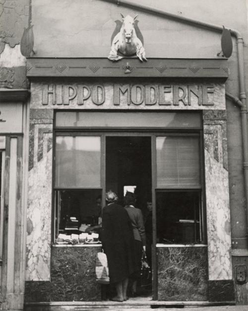 Hippo Moderne