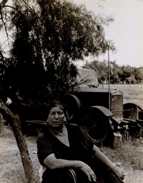 Gypsy woman sitting under a small tree, Saintes Maries de la Mer, France