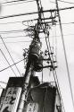 Electrical Pole and Wires, Japan