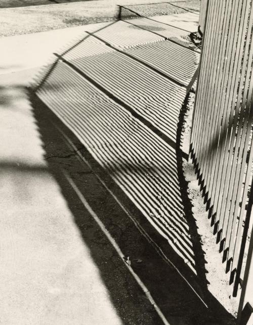 Fence and Its Shadow, Japan