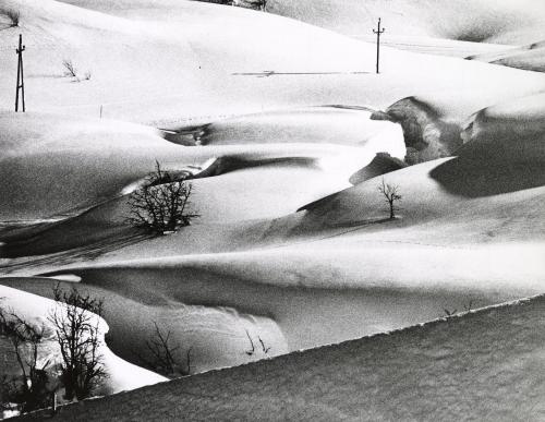 Snowy landscape with electrical poles