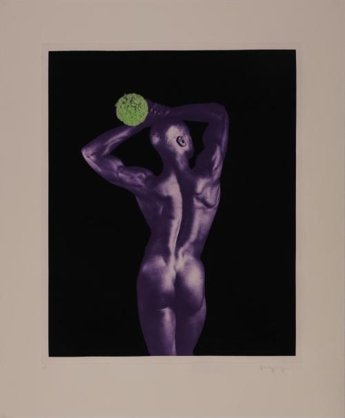 © Robert Mapplethorpe Foundation. Image courtesy of the Ruth and Elmer Wellin Museum of Art at …