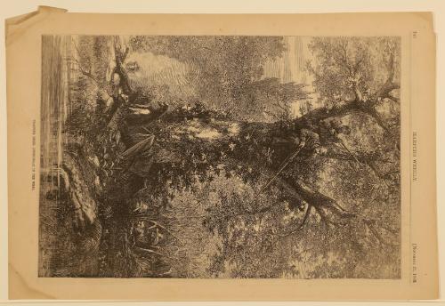 Trapping Rebel Guerrillas in the West, from "Harper's Weekly"
