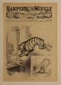 The Democratic Tiger Gone Mad, from "Harper's Weekly"