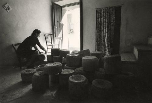 A family's cheese production for sale in their village, Castelbuono, Sicily