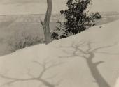 Snowy landscape with tree shadows, Grand Canyon