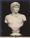 Roma - Museo Vaticano, Antinoo busto