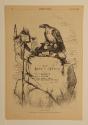 The 'Mexican' Scarecrow, from "Harper's Weekly"