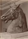 Napoli - Museo Nazionale. Testa di Cavallo.