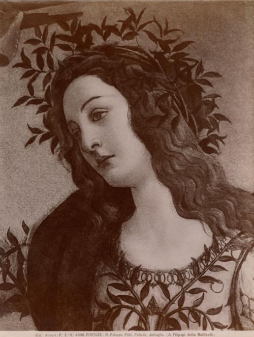 Firenze - R. Palazzo Pitti. Pallade, dettaglio