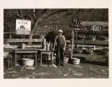 Cider stand, Blue Ridge Mountains, Virginia