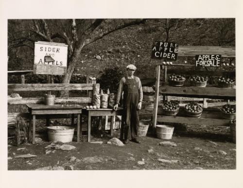 Cider stand, Blue Ridge Mountains, Virginia