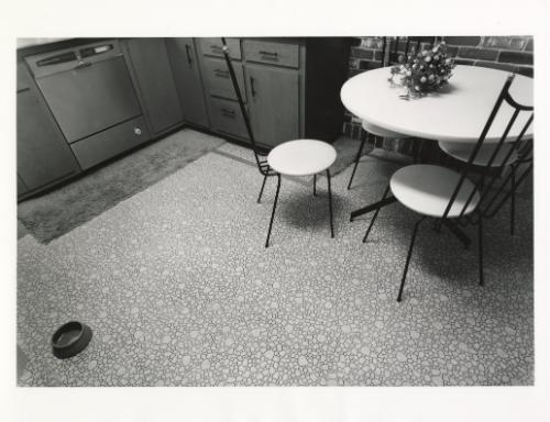Dog Bowl, Kitchen, Newton, MA, from the series, "Close Relations"