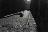 Pigeon in Cobbled Street, Orleans