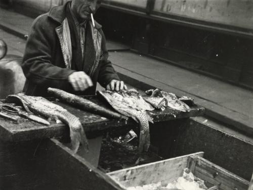 Fish stand