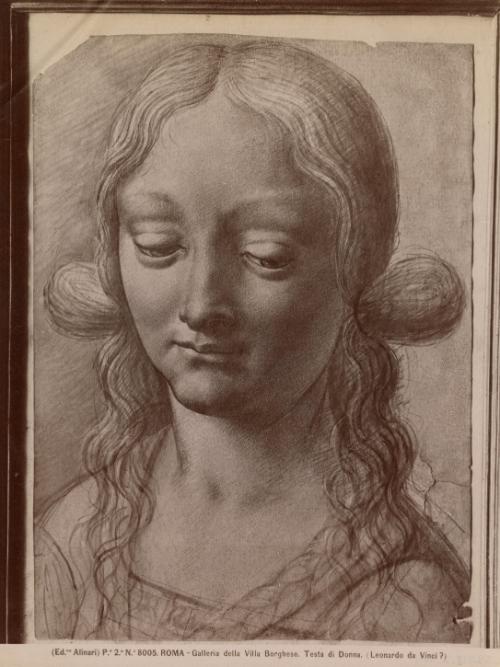 Roma - Galleria della Villa Borghese. Testa di Donna