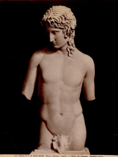 Roma - Museo Vaticano. Cupido o il Genio del Vaticano