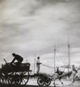 Untitled (Horse drawn carriages), Naflio, Greece