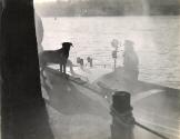 At the wharf with a rescue dog, the 6th Brigade, Seine, Paris, France