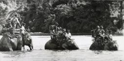 South Vietnamese soldiers ride elephants across a river in the Ba Don area, about 20 miles from the Cambodian border, during a patrol in search of Viet Cong guerrillas in June 1964. In some conditions, the Hannibal-like transportation is more suited to jungle warfare than more modern vehicles