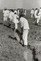 Prisoners working in the Cummins Unit or farm area of the Arkansas State Penitentiary in 1968. The scandal of this Arkansas historical penitentiary inspired the making of the 1980 movie Brubaker, Cummins, Arkansas