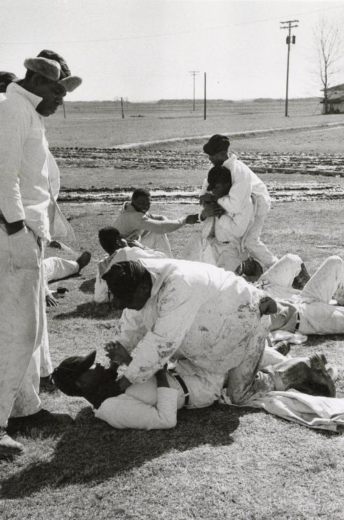 Prisoners working in the Cummins Unit or farm area of the Arkansas State Penitentiary fighting, Cummins, Arkansas