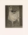 Untitled, from the series, The Female Figure, (arabesque nude draped in gauze)