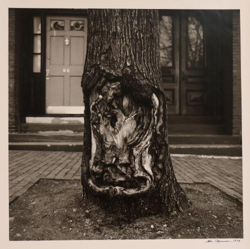 Louisburg Square, Boston