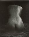 Nude fragment (Dorothy Pedford)