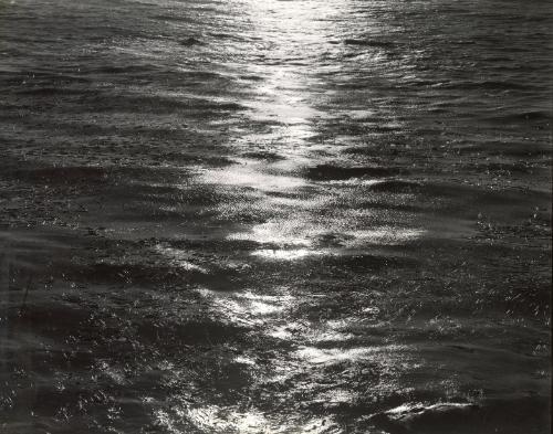 Pacific ocean waves