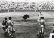 The peons work. The three matadors gauge the bull, Spain, from the series La Corrida (The Bullfight)