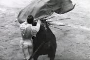 During the faena, beauty must never cease to be effective, Spain, from the series La Corrida (The Bullfight)