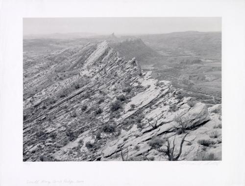 South Along Comb Ridge