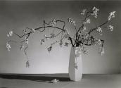 Still life with flowers in vase