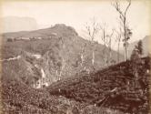 Devon Falls, Dimbula, Ceylon