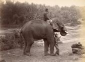 Men with elephant, Ceylon