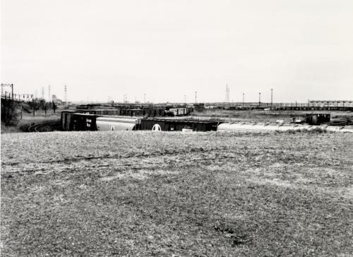 Untitled (from the Meadowland series)