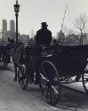 Carriage driver, New York City