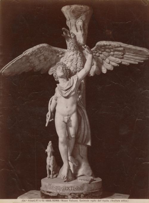 Roma - Museo Vaticano. Ganimede rapito dall' Aquila