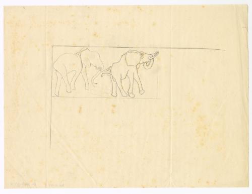 [Elephant Sketches]