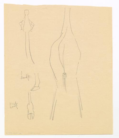 [Giraffe Sketches; hind foot]