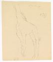 [Giraffe Sketches]