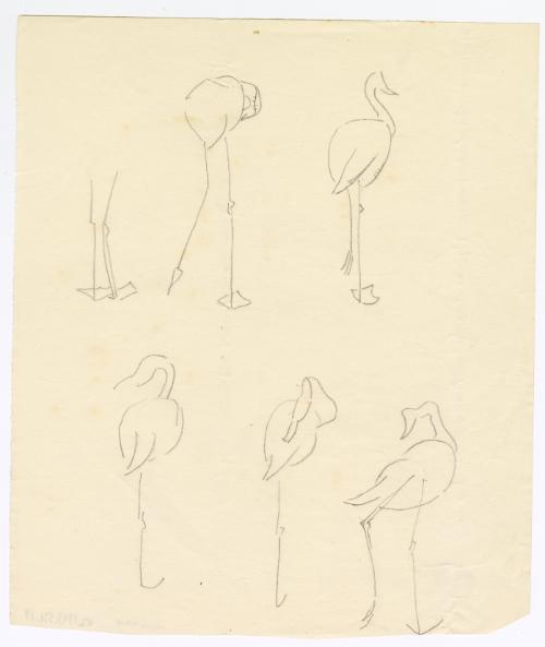 [Bird Sketches]