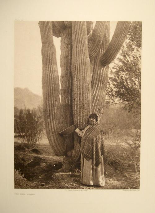 The Pima Woman