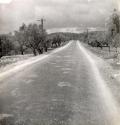 Untitled (Road with power lines, Route 3578), Spain, from the "Roads" series