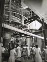 Workers on assembly line filling cans