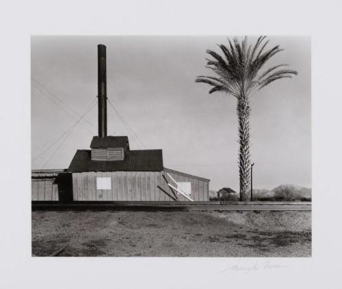 Powerhouse and Palm Tree, near Lordsburg, New Mexico